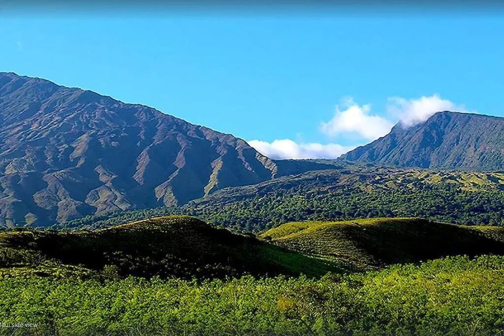 Nyaraló Upgraded, Steps To Ocean View Pool, Walk To Beach Wailea